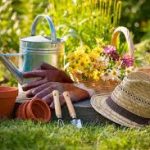 Composting Decking: Know the five important qualities