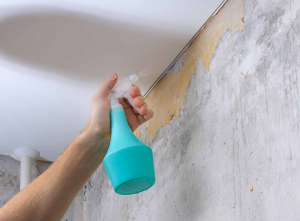 Expert Tips for a Seamless Wallpaper Paste Residue Removal Process