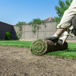 Considering Sod Installation in Springfield, VA? Get it Right the First Time!