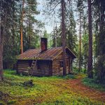 Log cabin, cottage, house — Advanced Roulette for Experts USA for Professionals: A Comprehensive Guide