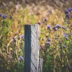 Fence post, wooden posts, fence — Astu pelimaailmaan Kattava roobet review paljastaa bonukset ja kokemukset suoraan pelaajilt