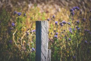 Fence post, wooden posts, fence — Astu pelimaailmaan Kattava roobet review paljastaa bonukset ja kokemukset suoraan pelaajilt