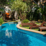 Creating Your Backyard Oasis: The Journey Begins with a Plan