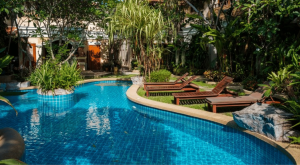 Creating Your Backyard Oasis: The Journey Begins with a Plan