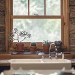 Garlic, cactus, window — Get willing to find your perfect pegging partner today