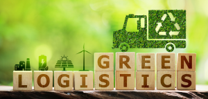 Green Transitions: The Rise of Eco Friendly Moving Companies and Sustainable Options