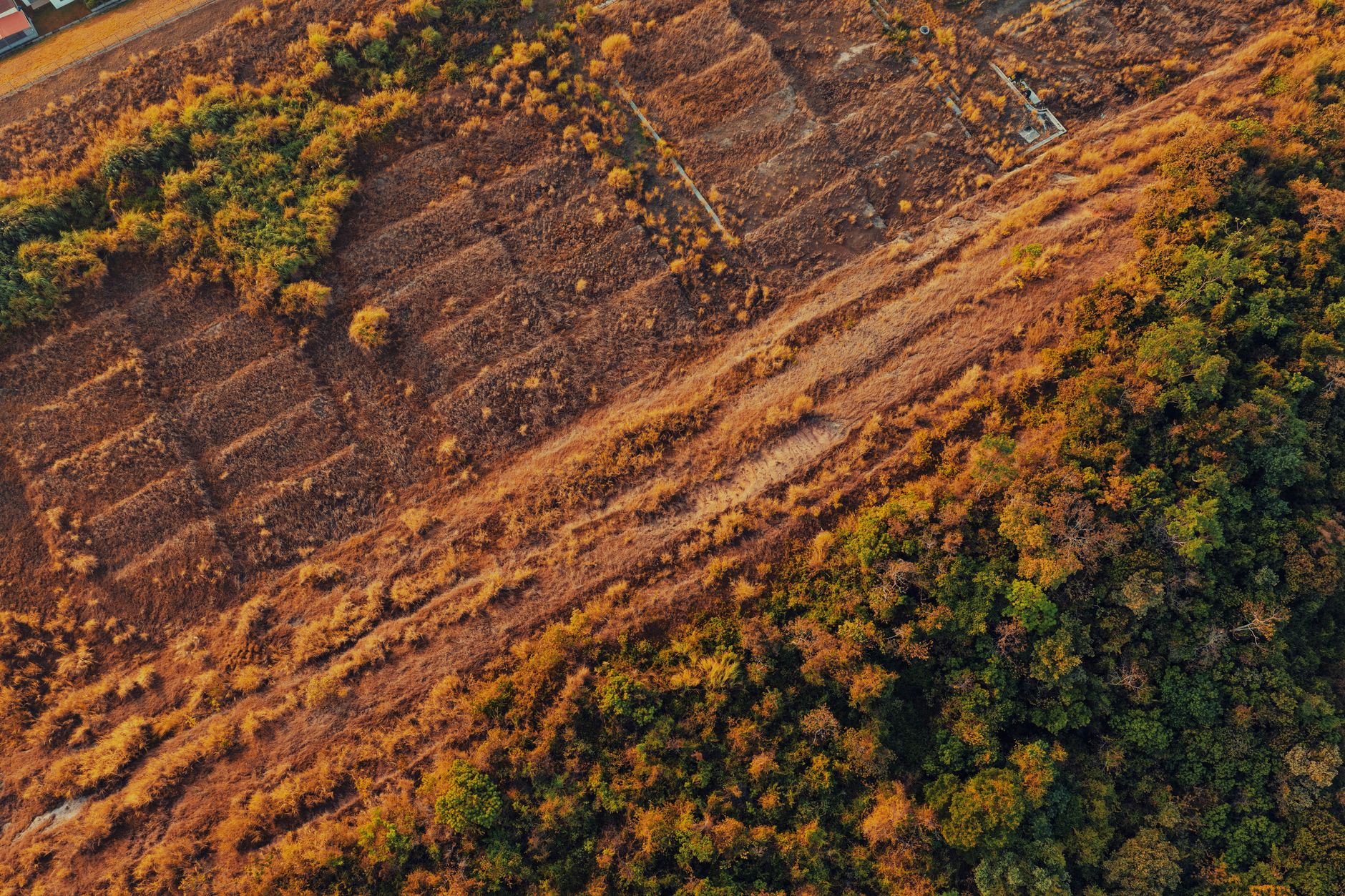 forest land diversion